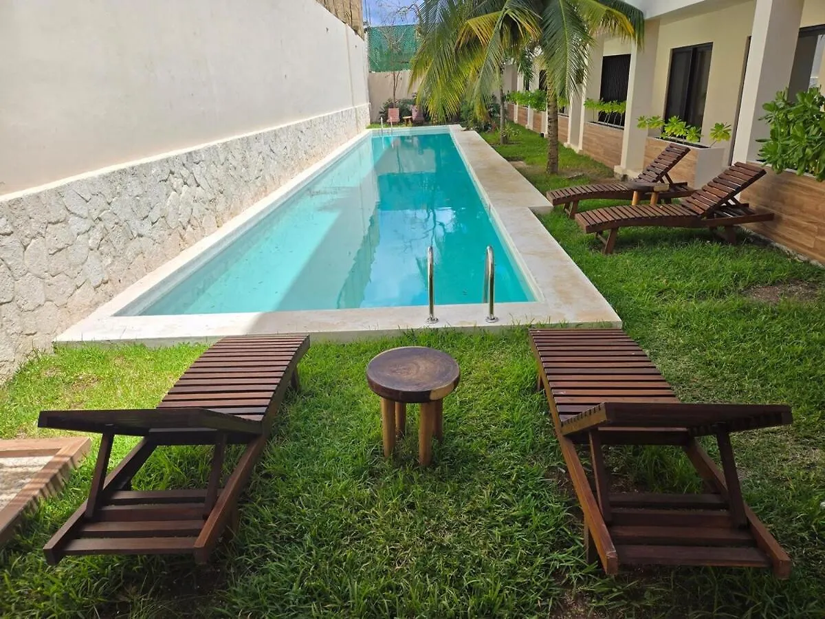 Rooftop Pool And Beach Access Playa del Carmen Mexico