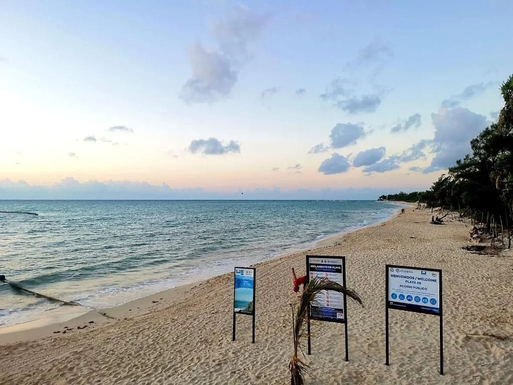 Rooftop Pool And Beach Access Playa del Carmen Apartment
